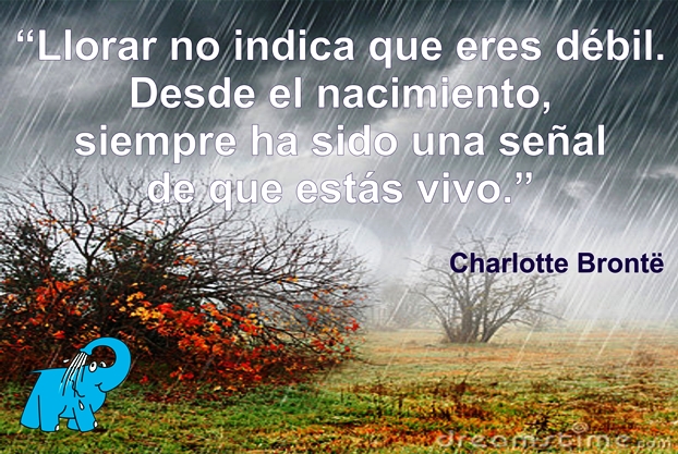 Una Enseñanza de Charlotte Brontë en la Frase del Día del Elefante Azul de Avilés.